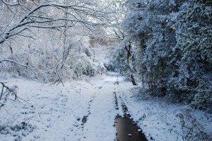 A Sussex Snow Scene